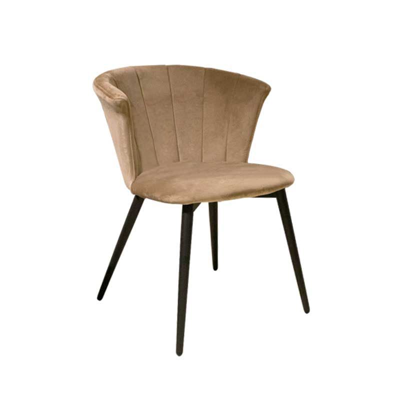 BOTON,Dining Chair