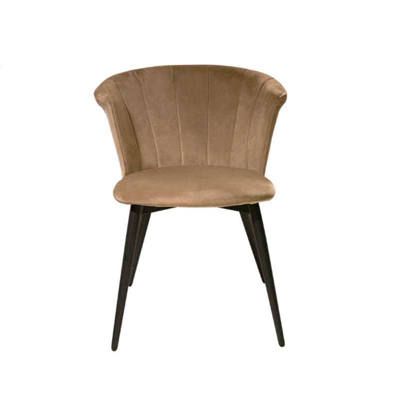 BOTON,Dining Chair-2