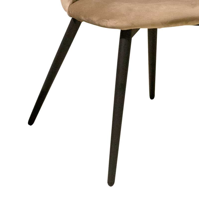 BOTON,Dining Chair-4