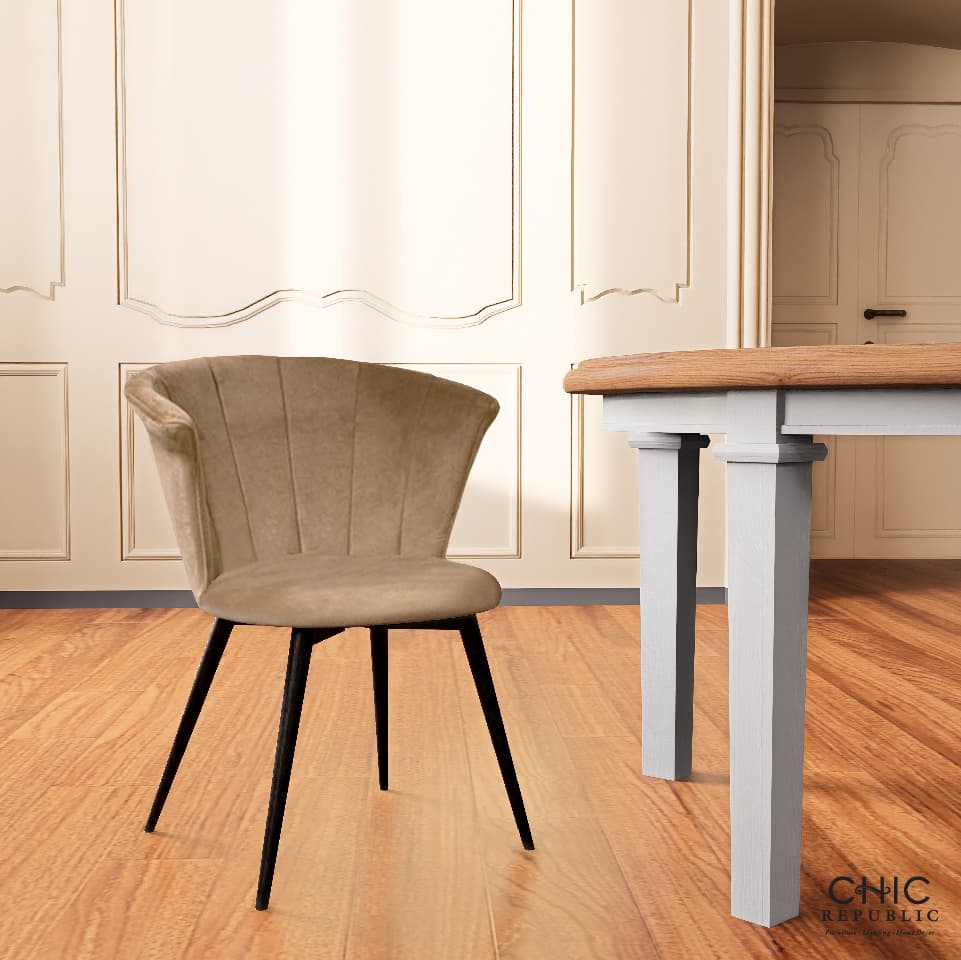 BOTON,Dining Chair-5