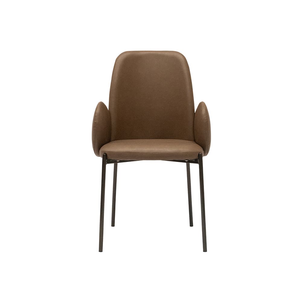 DECCO,Dining Chair-2