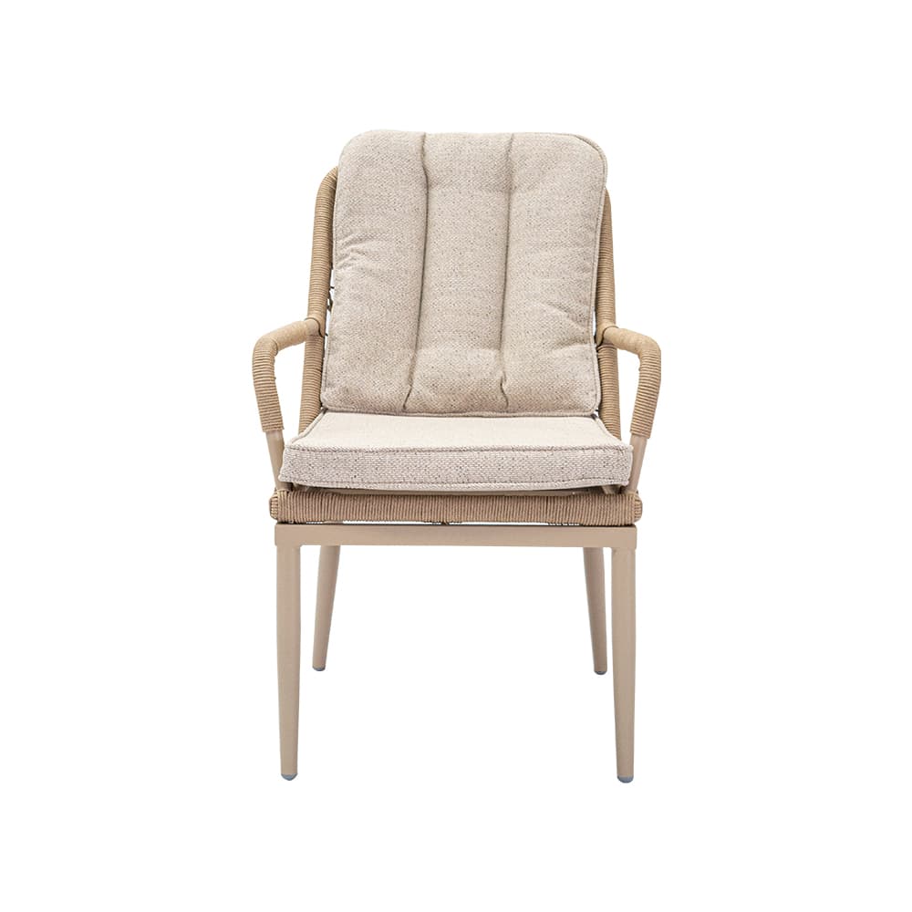 PIENZA,Dining Chair-2