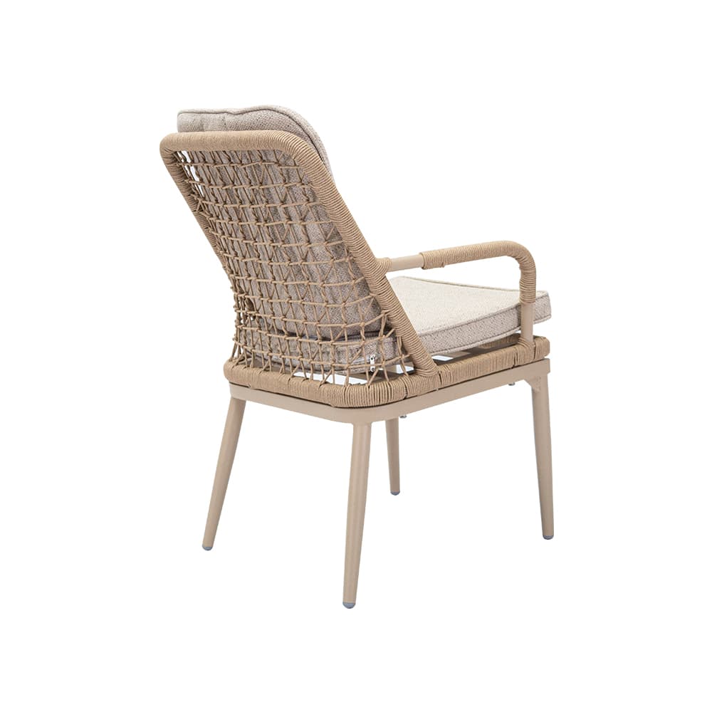 PIENZA,Dining Chair-4