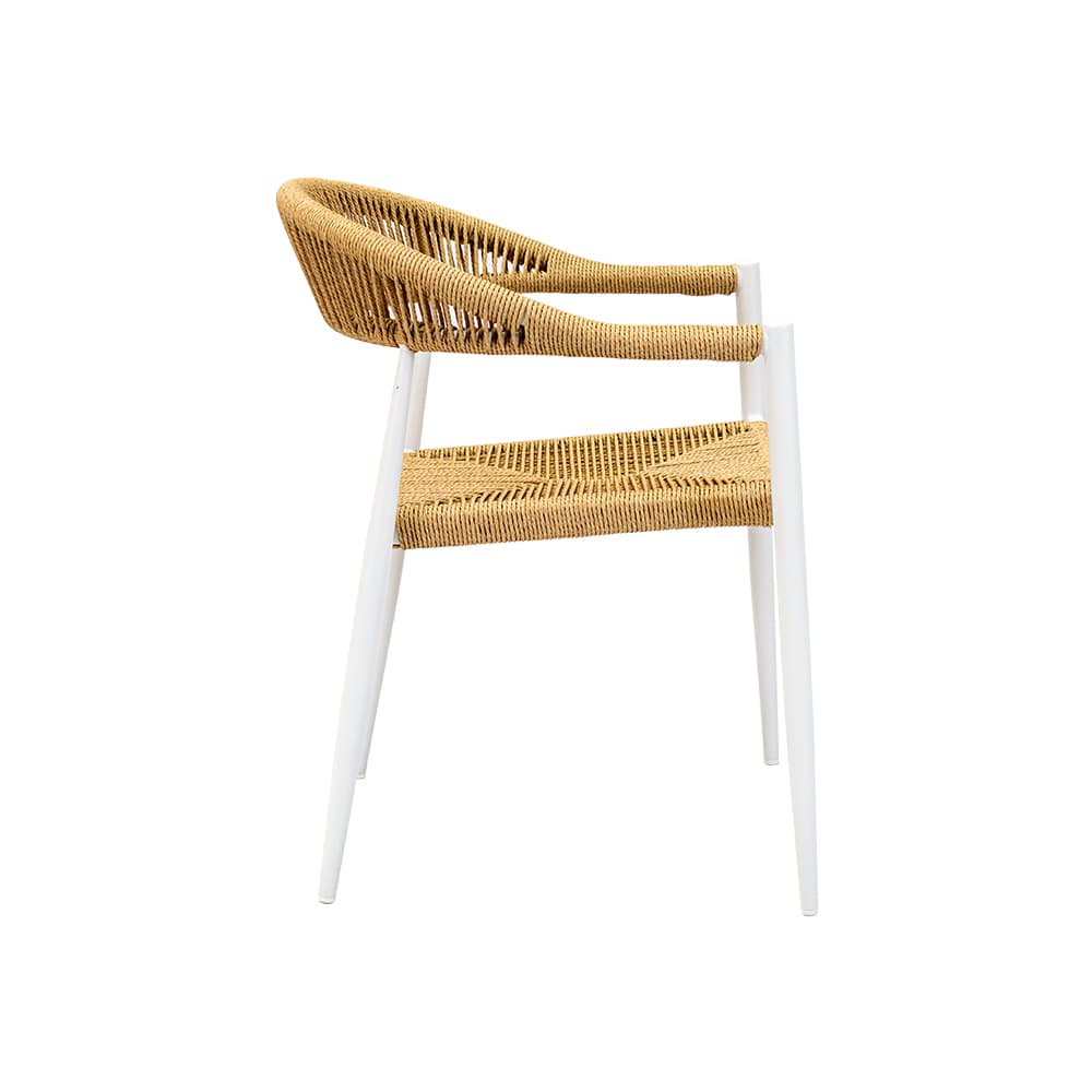 MANA,Dining Chair-3