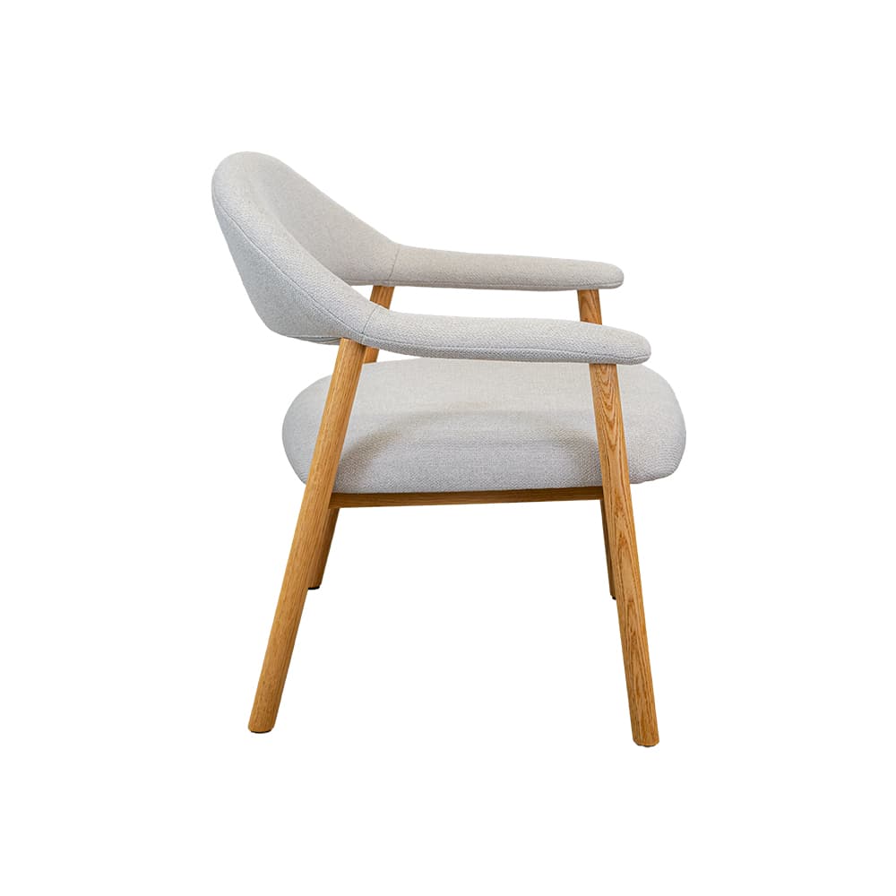 ALDI,เก้าอี้พักผ่อนพร้อมท้าวแขน-3