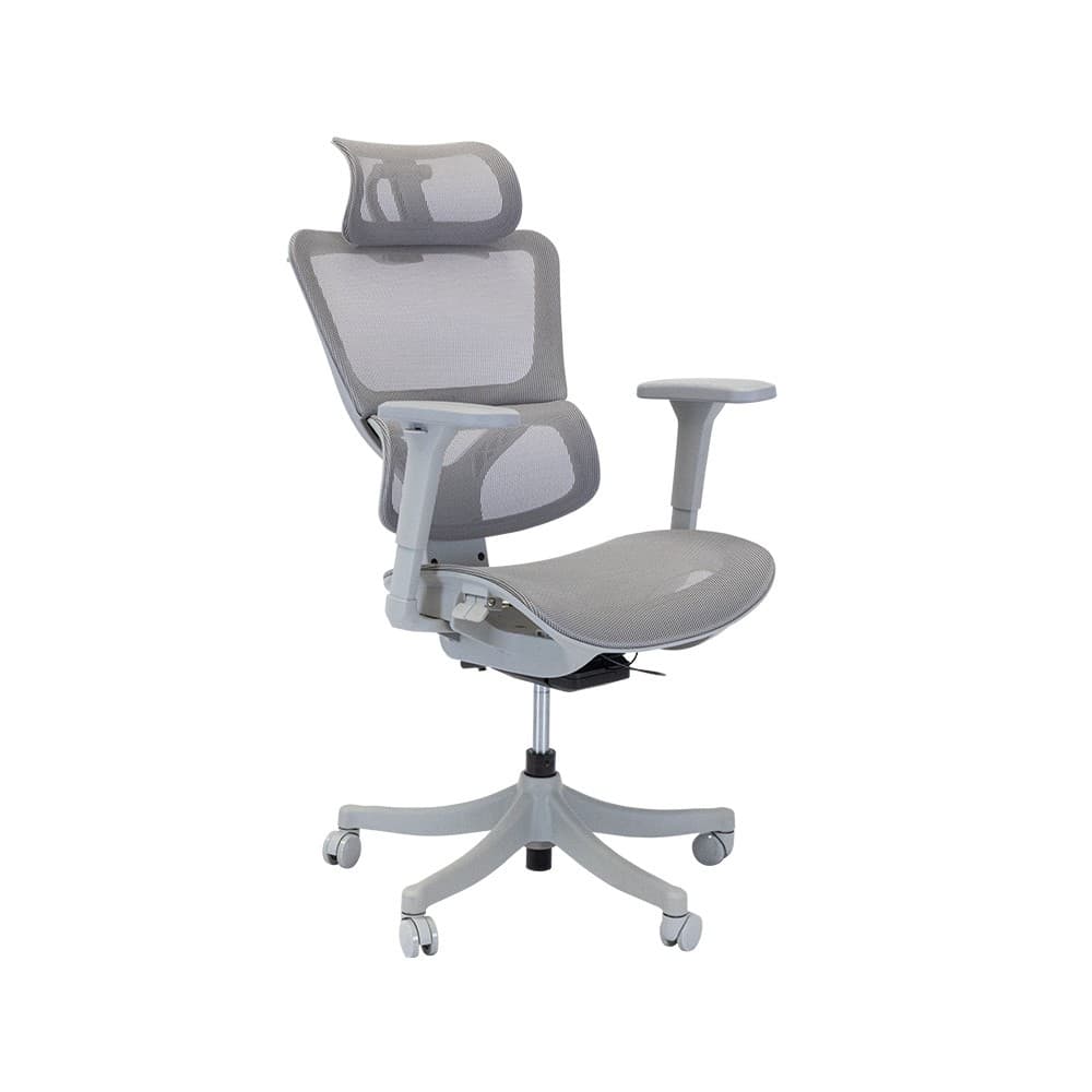 CASINI,เก้าอี้สำนักงานเพื่อสุขภาพ