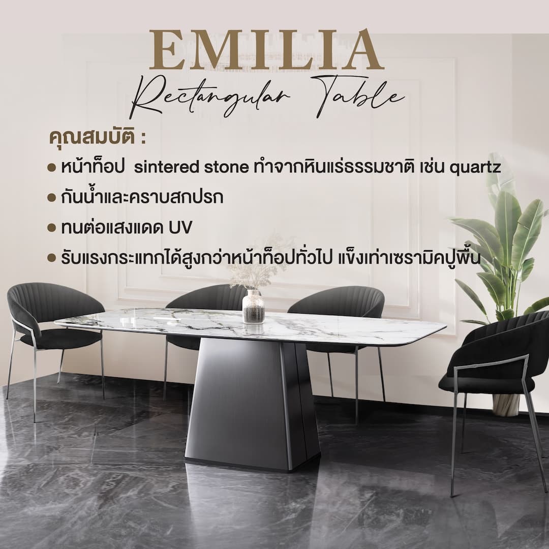 EMILIA RECTANGULAR-DG/220,โต๊ะอาหาร-6