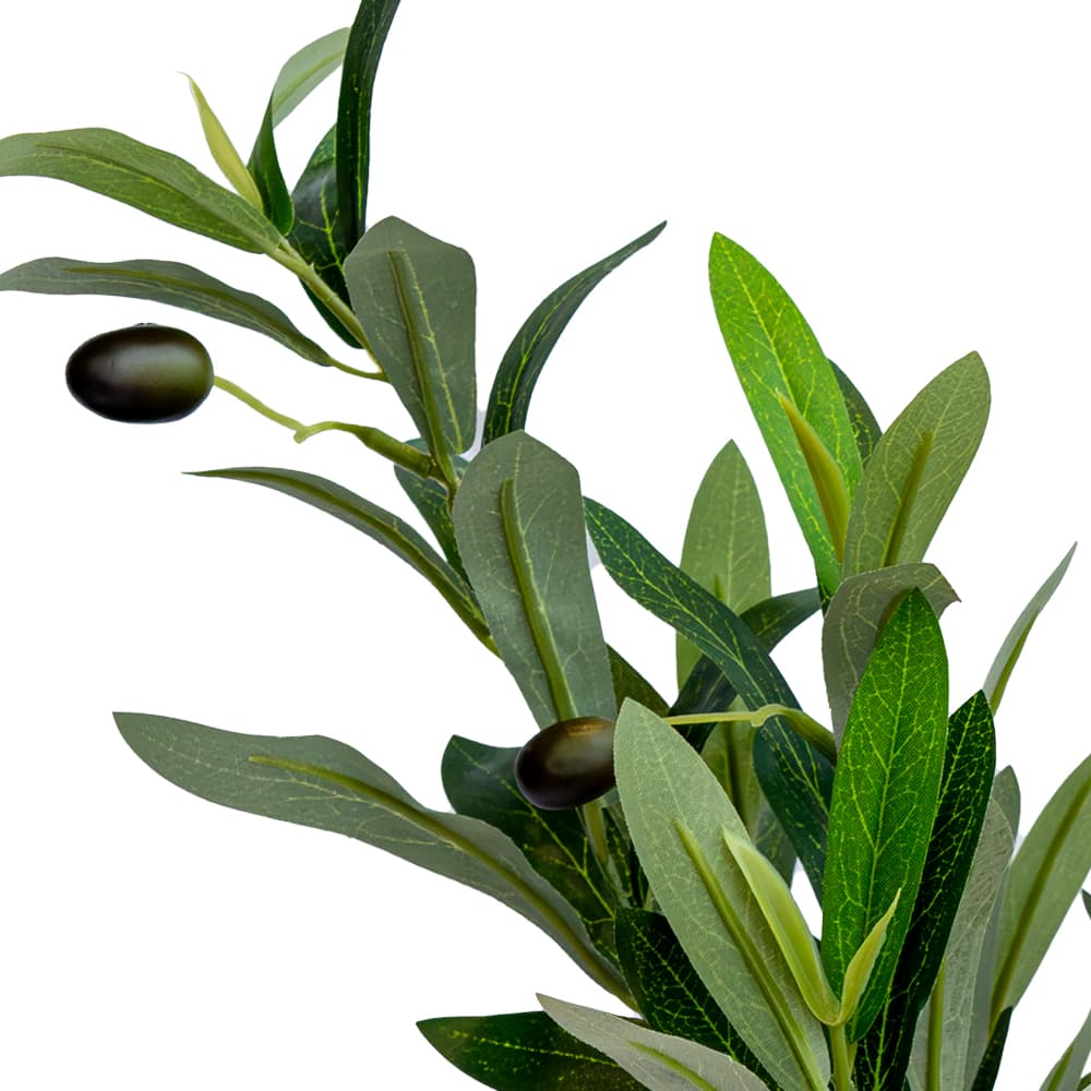 OLIVE BRANCH,กิ่งต้นโอลีฟประดิษฐ์ในแจกัน-3
