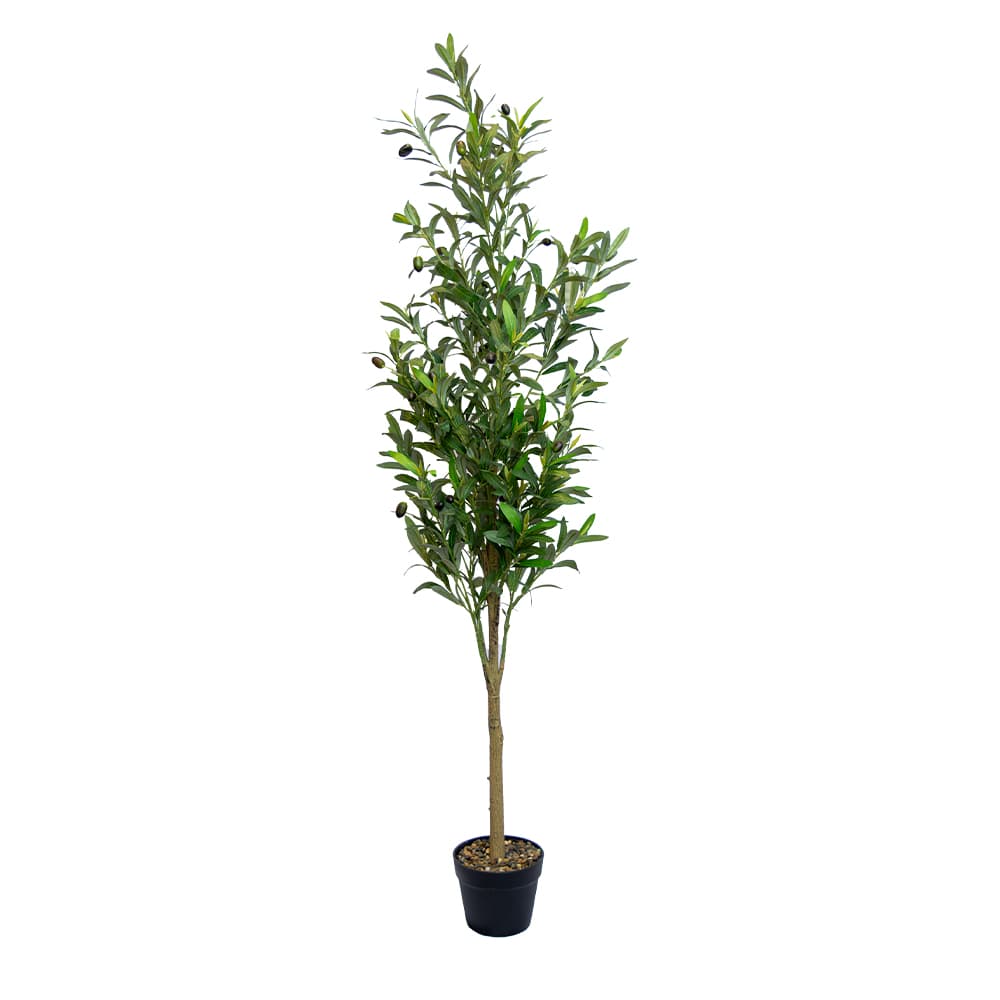 OLIVE TREE/150,Artificial Tree In Pot