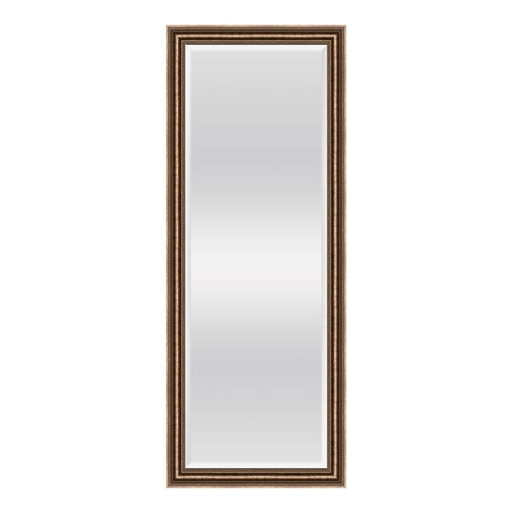 BECKIE/50x150,Standing Mirror