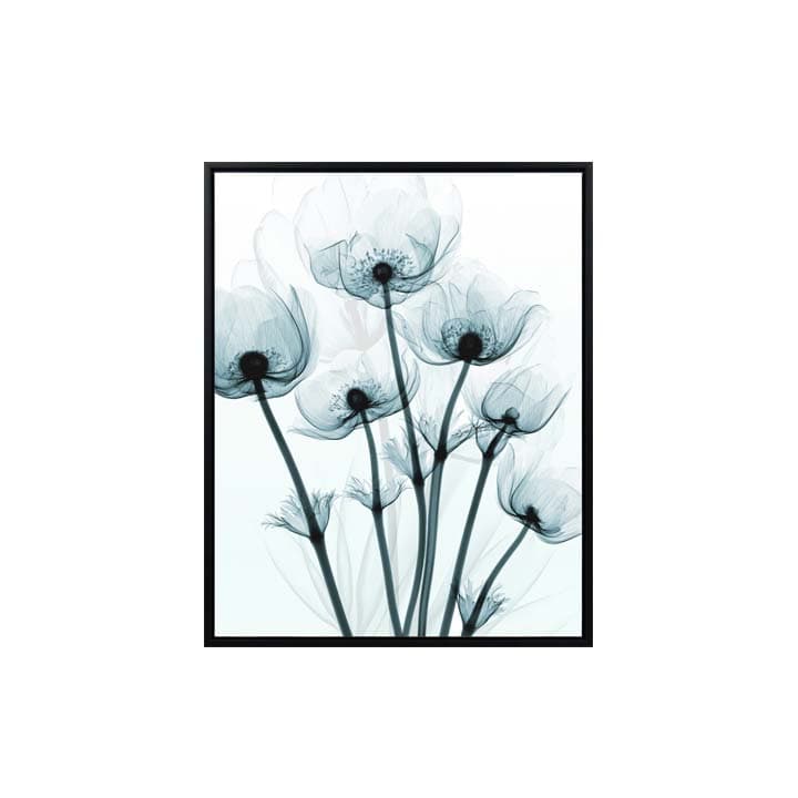 TULIP/40x50,ภาพติดฝาผนัง