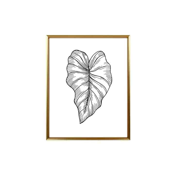 FOLIAGE-B/40x50,Picture with Frame