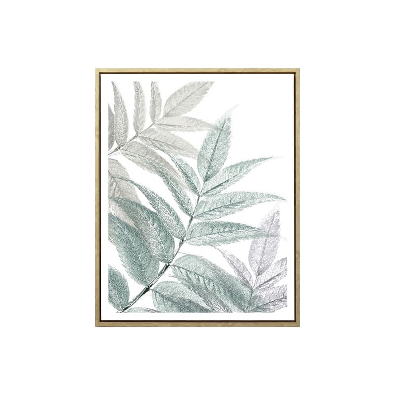 LEAF COLLAGE-A/40x50,Picture with Frame