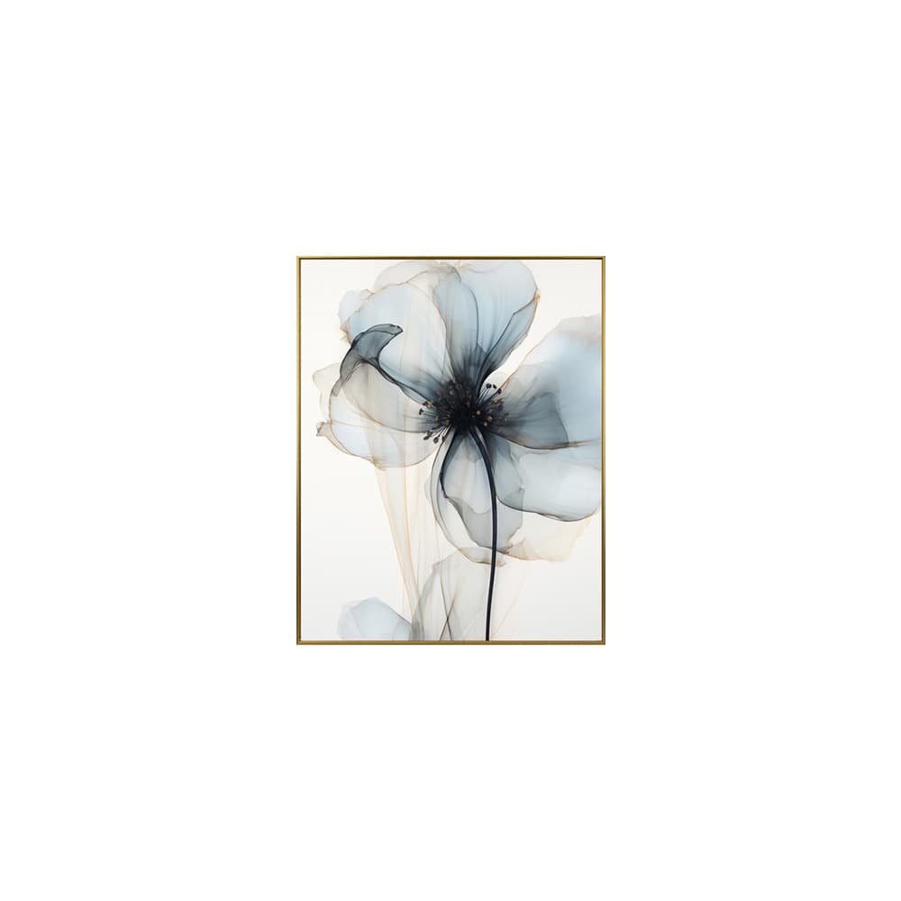 ALLAMANDA-B/40x50,Picture with Frame