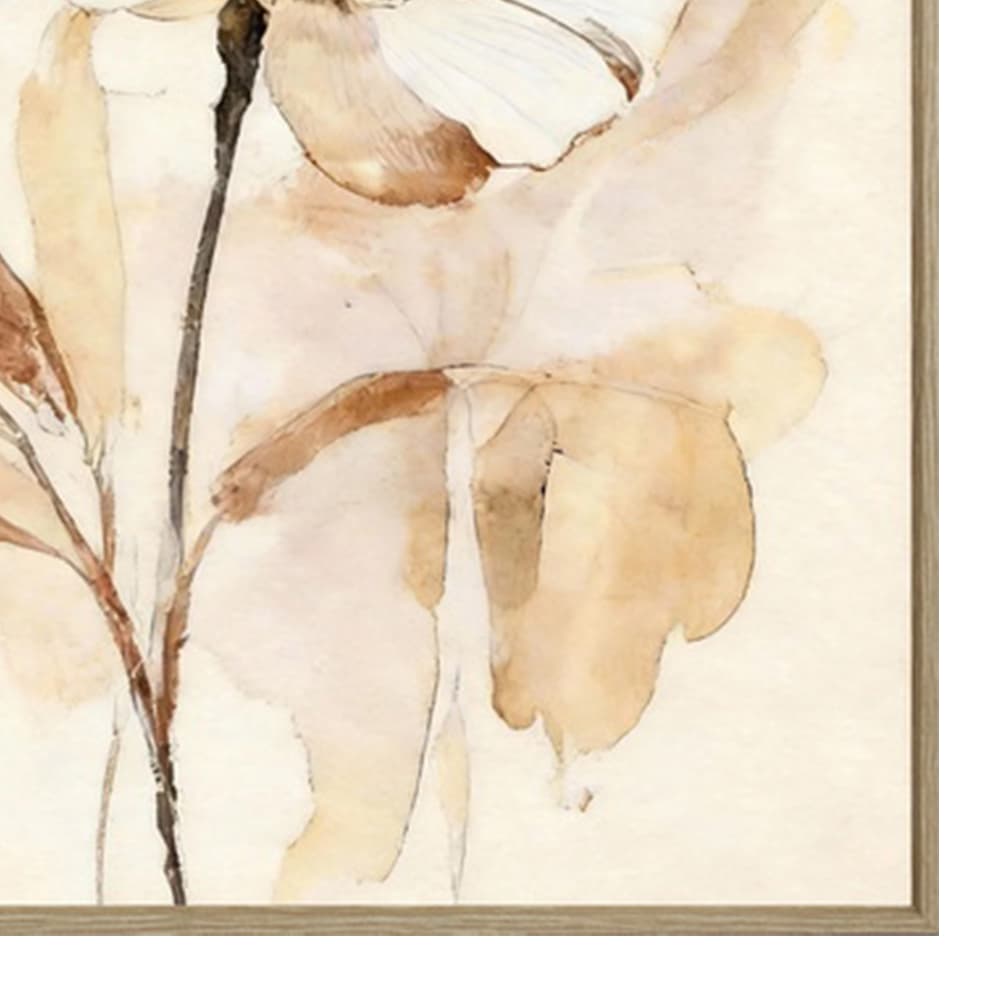 BROWN WHISPER/40x50,Picture with Frame-4