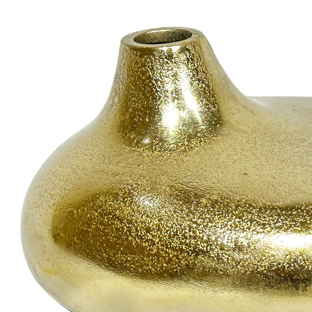 DROSERA/10,แจกัน-2