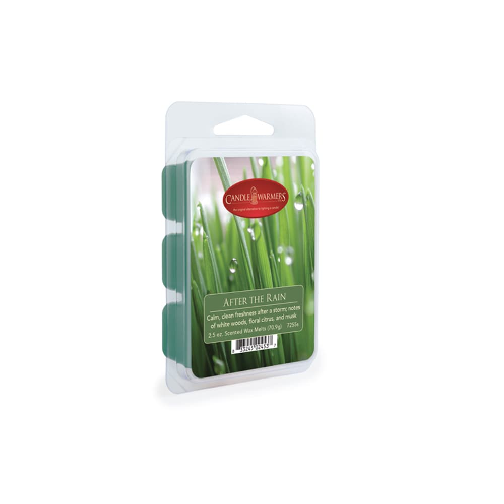 เทียนสำหรับอุ่นแบบก้อนกลิ่นอาฟเตอร์เดอะเรน