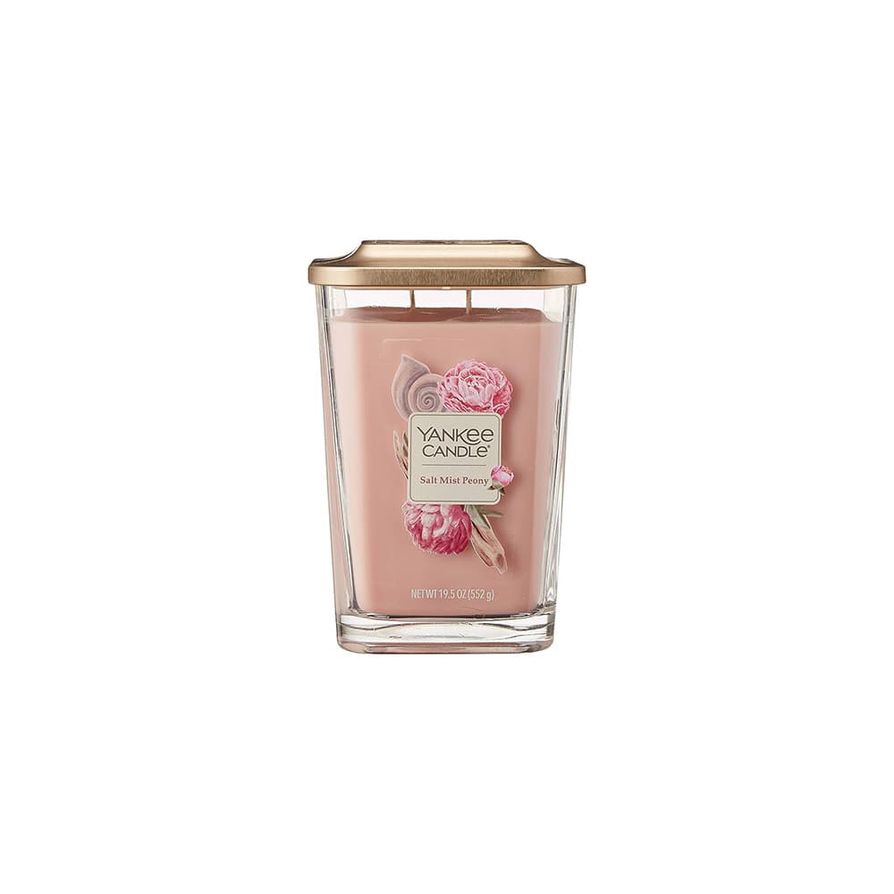 SALT MIST PEONY/552g,Candle
