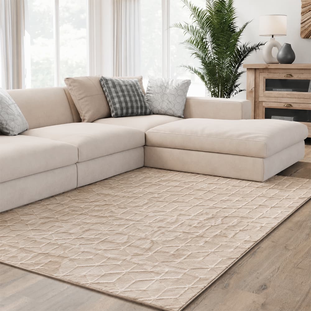 MAJOR SHAGGY-LBN/100x160,Carpet