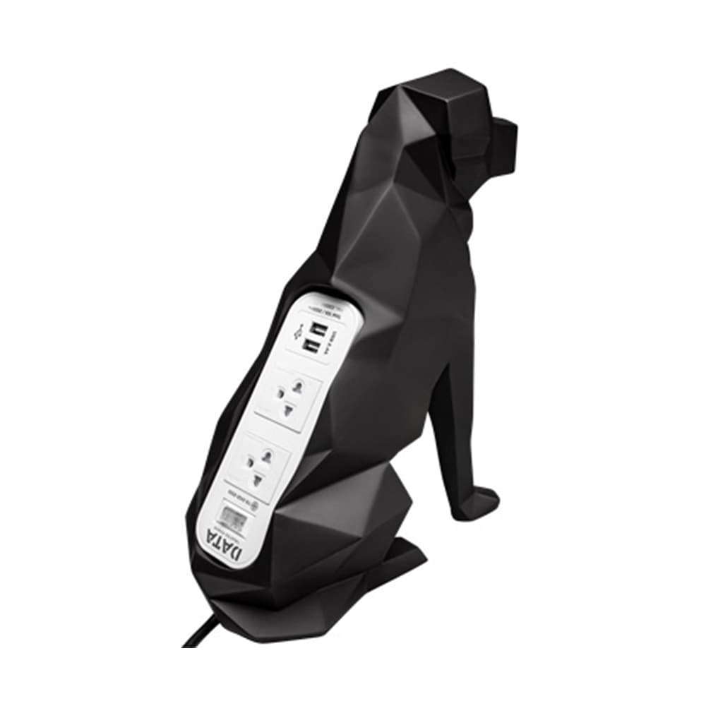 ลาบราดอร์ (สีดำ) WL124i 2 ช่อง 1 สวิตช์ 2 ช่อง USB