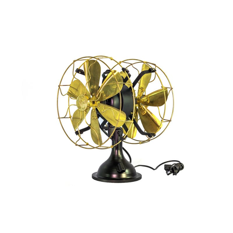 พัดลมตั้งโต๊ะ(2 หัว) FS-123-B กว้าง ซ้าย-ขวา/12"