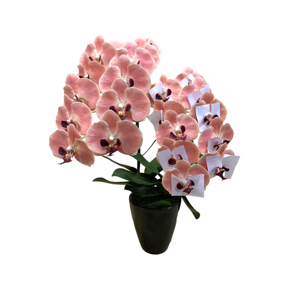 ดอกไม้ประดิษฐ์ ฟาแลนด์ 2 ช่อ(โอรส)