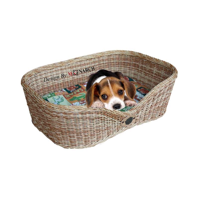 DCA1B4C-6INPO-0N19 ที่นอนสุนัขและแมว ขนาดเล็ก-2