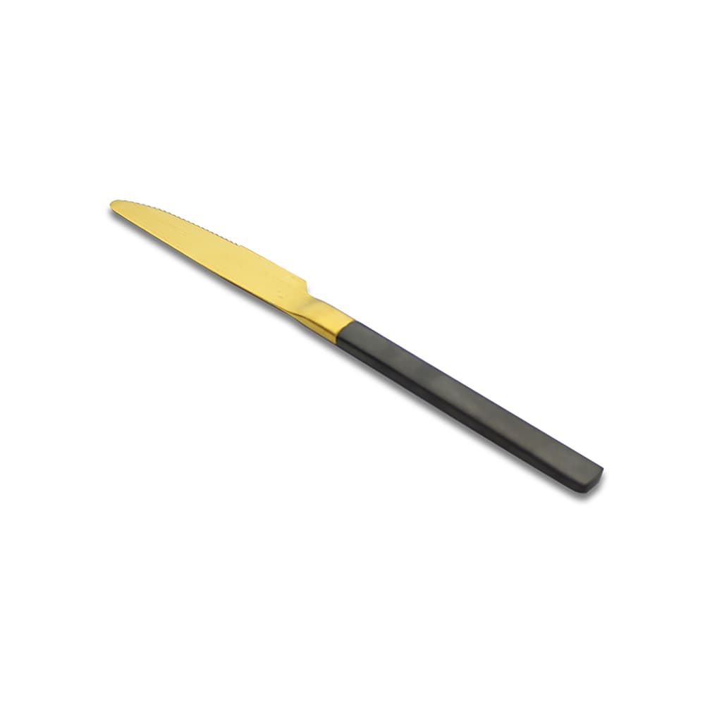 ZH1900-B1 DINNER KNIFE