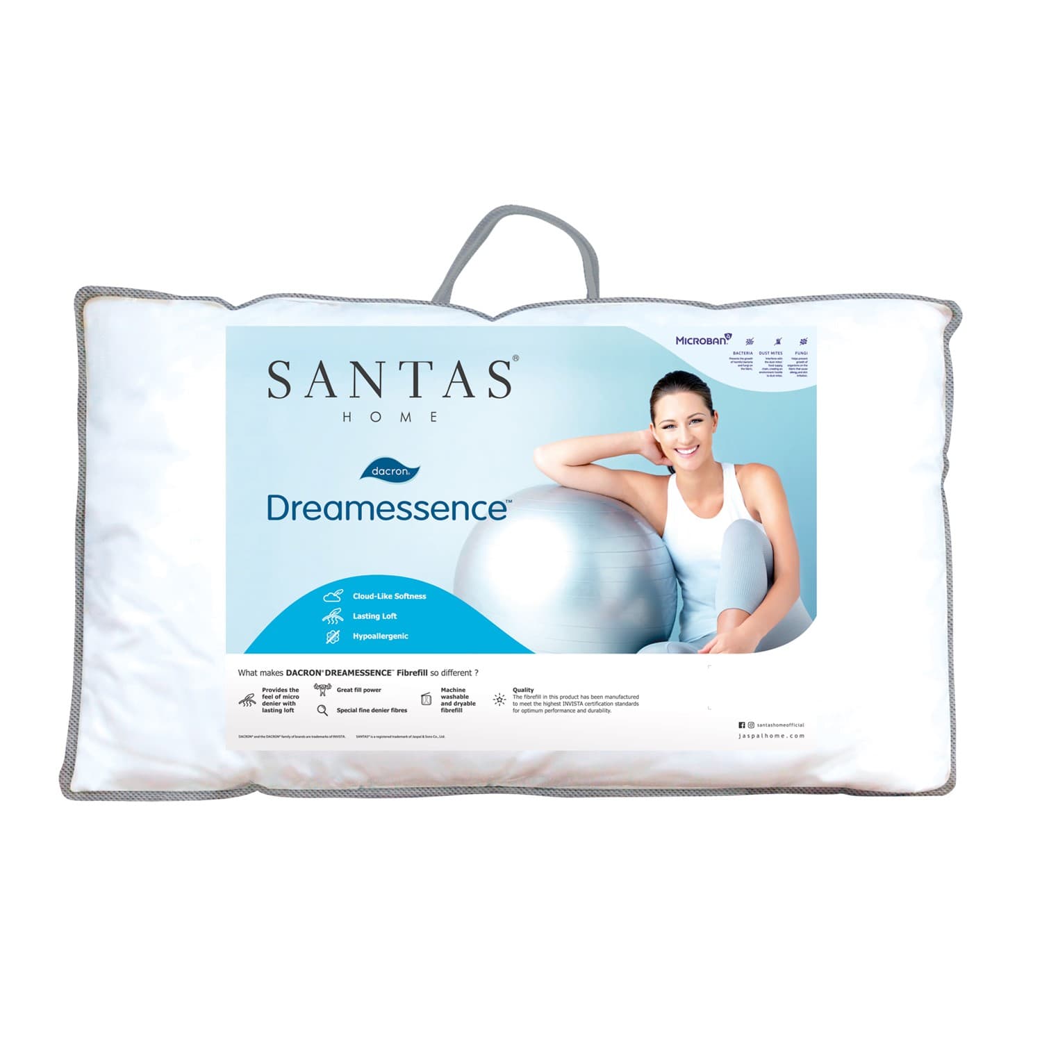 SA SAPWDE DREAMESSENCE MICROBAN MR/19x29,Pillow